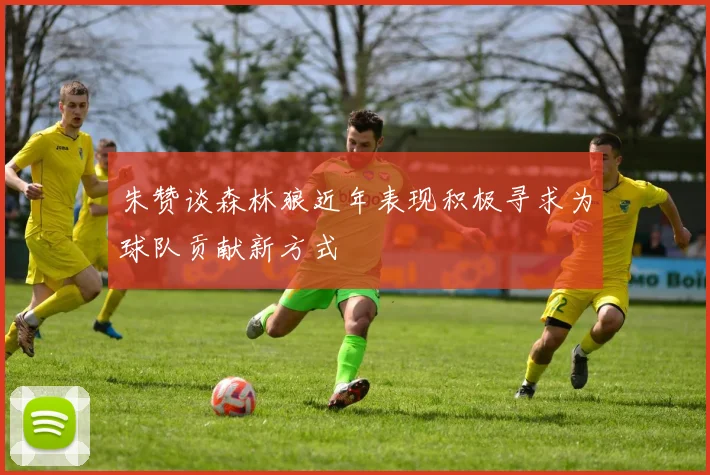 朱赞谈森林狼近年表现积极寻求为球队贡献新方式